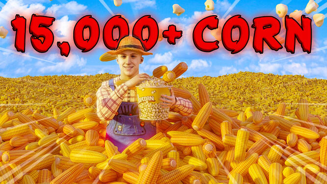 Corn farm